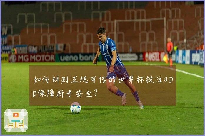 如何辨别正规可信的世界杯投注app保障新手安全？