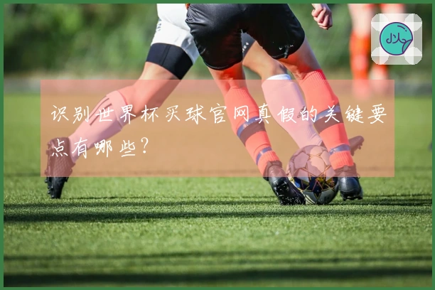 识别世界杯买球官网真假的关键要点有哪些？